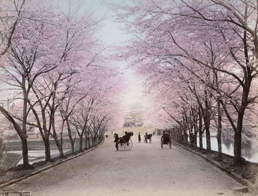 The colors of Japan of the XIX century through the eyes of an American photographer