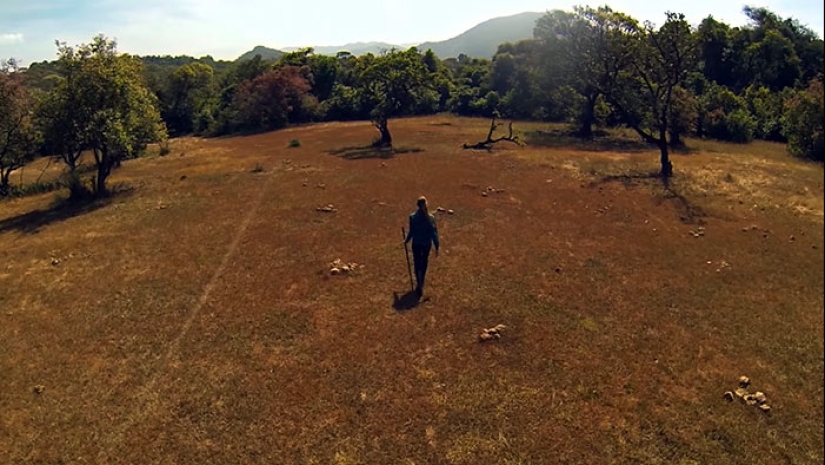 The couple spent 30 years restoring the reserve, replanting the rainforest