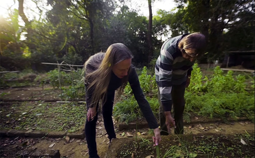 The couple spent 30 years restoring the reserve, replanting the rainforest