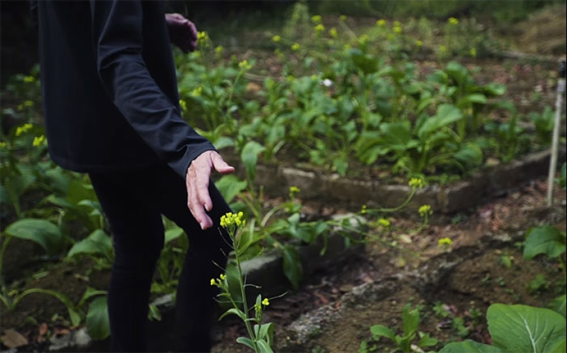 The couple spent 30 years restoring the reserve, replanting the rainforest