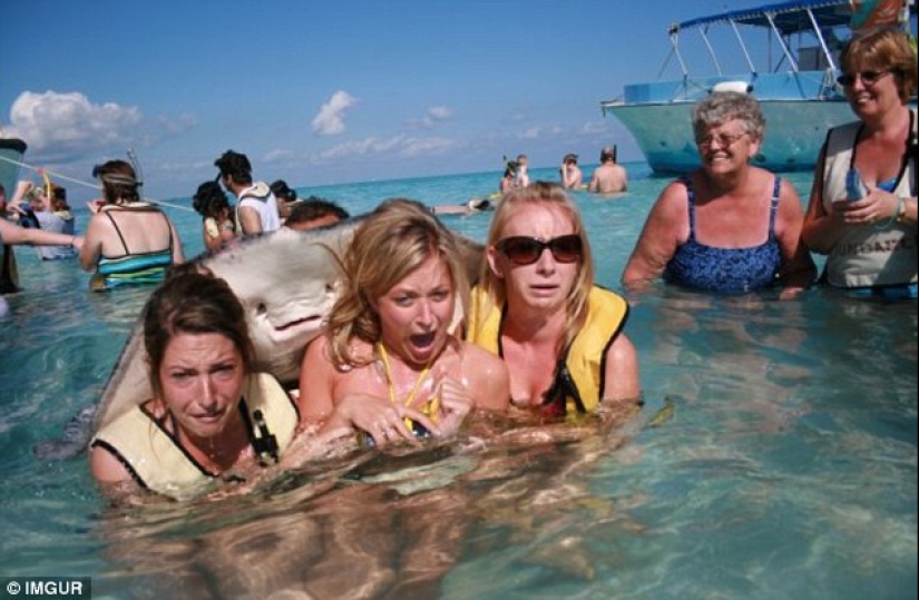 The funniest photobombs in vacation pictures