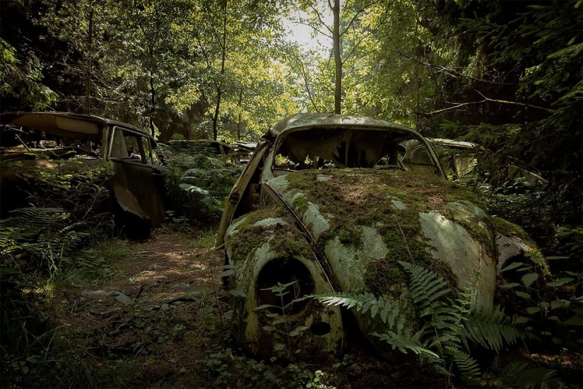 The German spent ten years searching all over Europe for cemeteries of old cars-from tractors to Mercedes