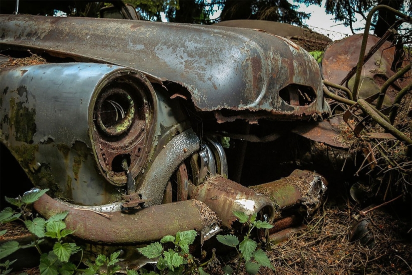 The German spent ten years searching all over Europe for cemeteries of old cars-from tractors to Mercedes