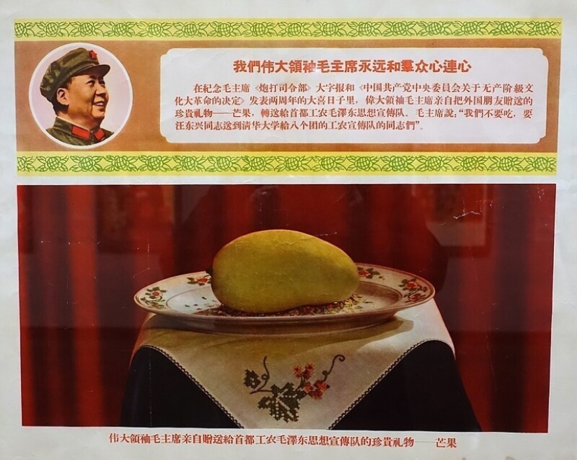 The gift of the "Great helmsman" or As China struck mango madness