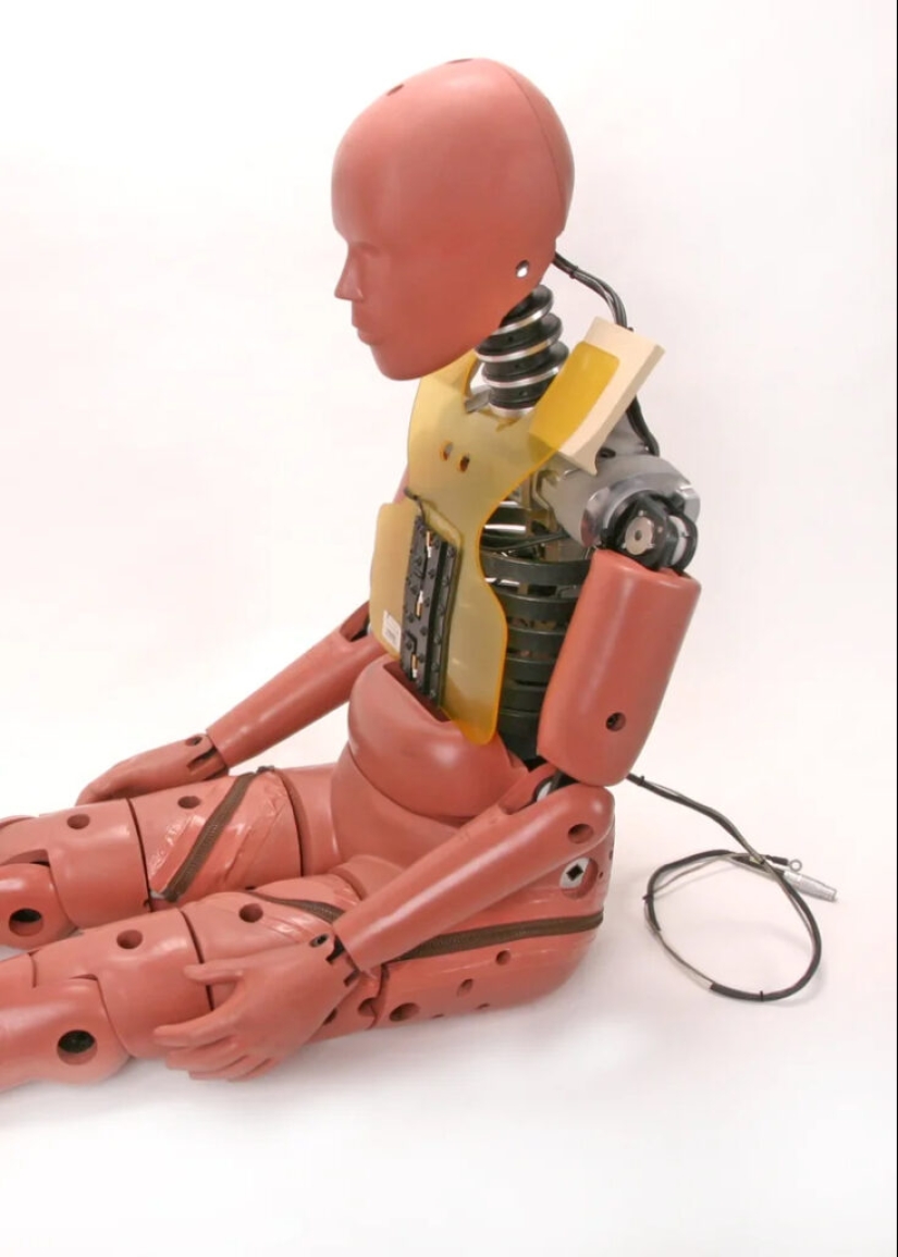 The History of Crash Test Dummies — Volunteers, Dead People and Pigs