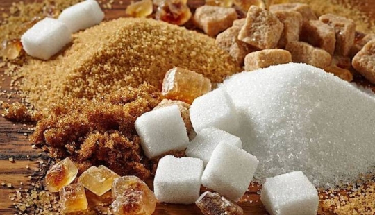 The history of sugar, or How the "sweet life" of mankind began