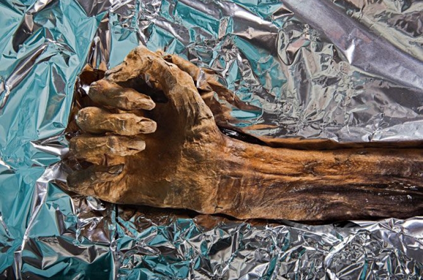 The "Ice Man" is the oldest mummy found in Europe