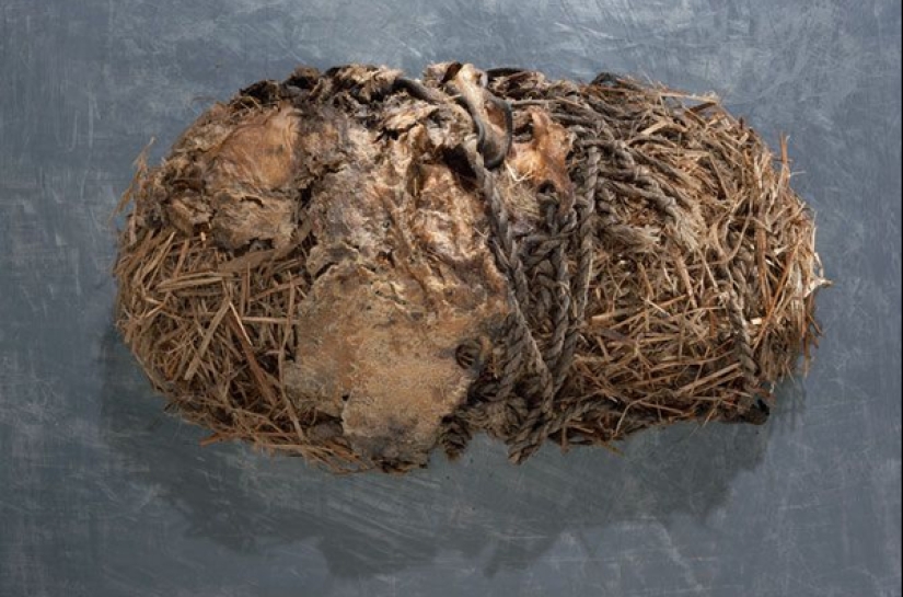 The "Ice Man" is the oldest mummy found in Europe