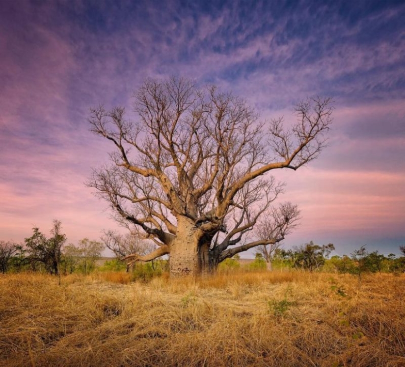 The incredible landscapes of Western Australia through the eyes of Ben Brody