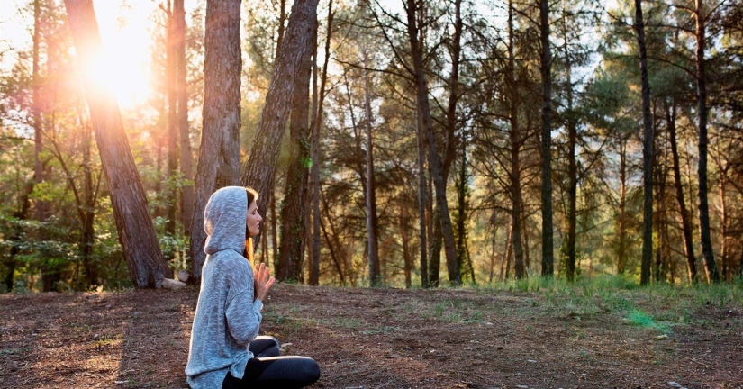 The Japanese art of Shinrin-yoku, or How to walk in the forest