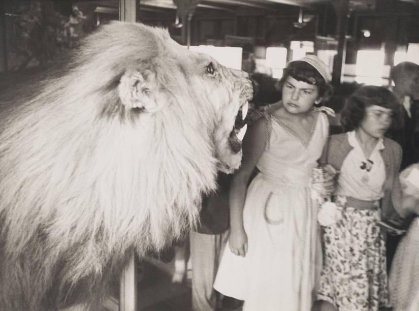 The journey on the road of life: expressive of classic photos of Elliott Erwitt