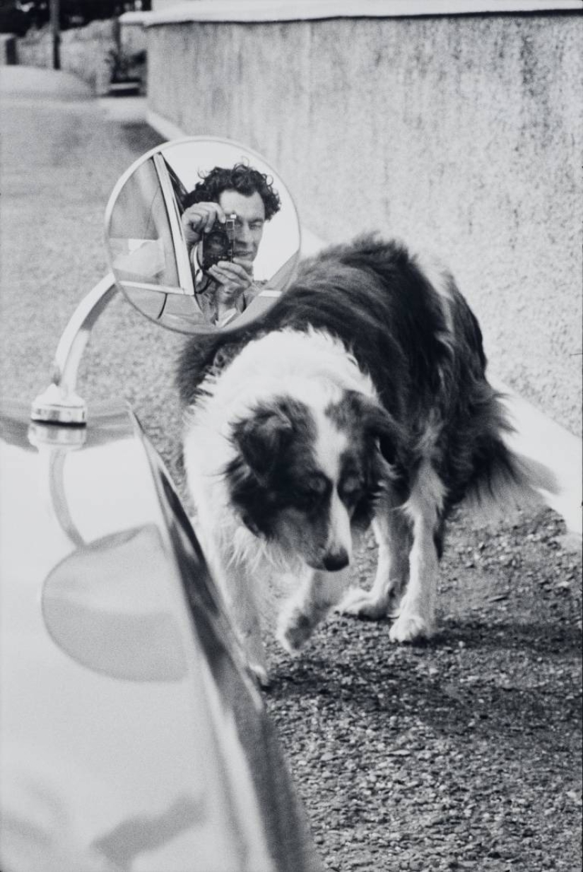 The journey on the road of life: expressive of classic photos of Elliott Erwitt