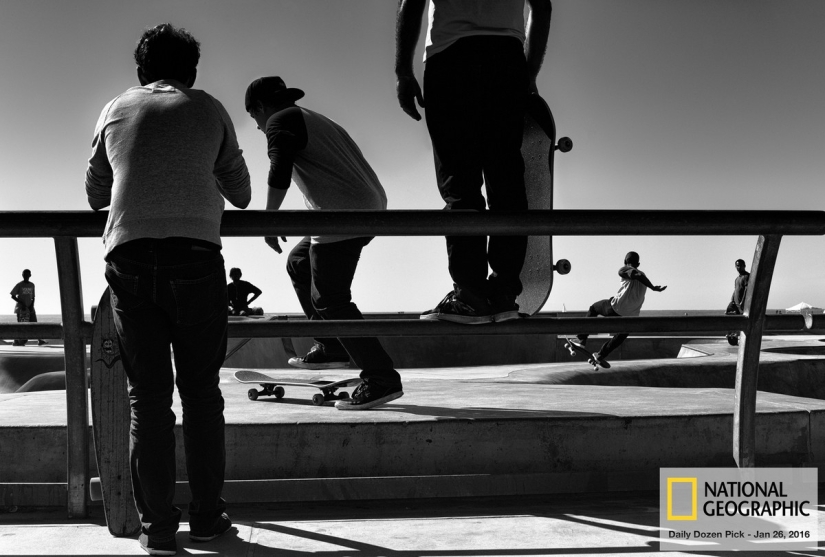 The last days of Bohemian paradise: crazy Venice beach in the lens of an Israeli photographer