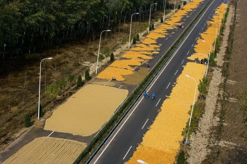 The legendary photo project &quot;Earth seen from the sky&quot;