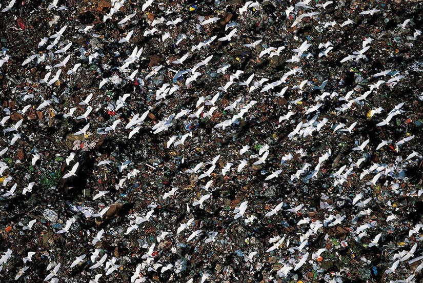 The legendary photo project &quot;Earth seen from the sky&quot;