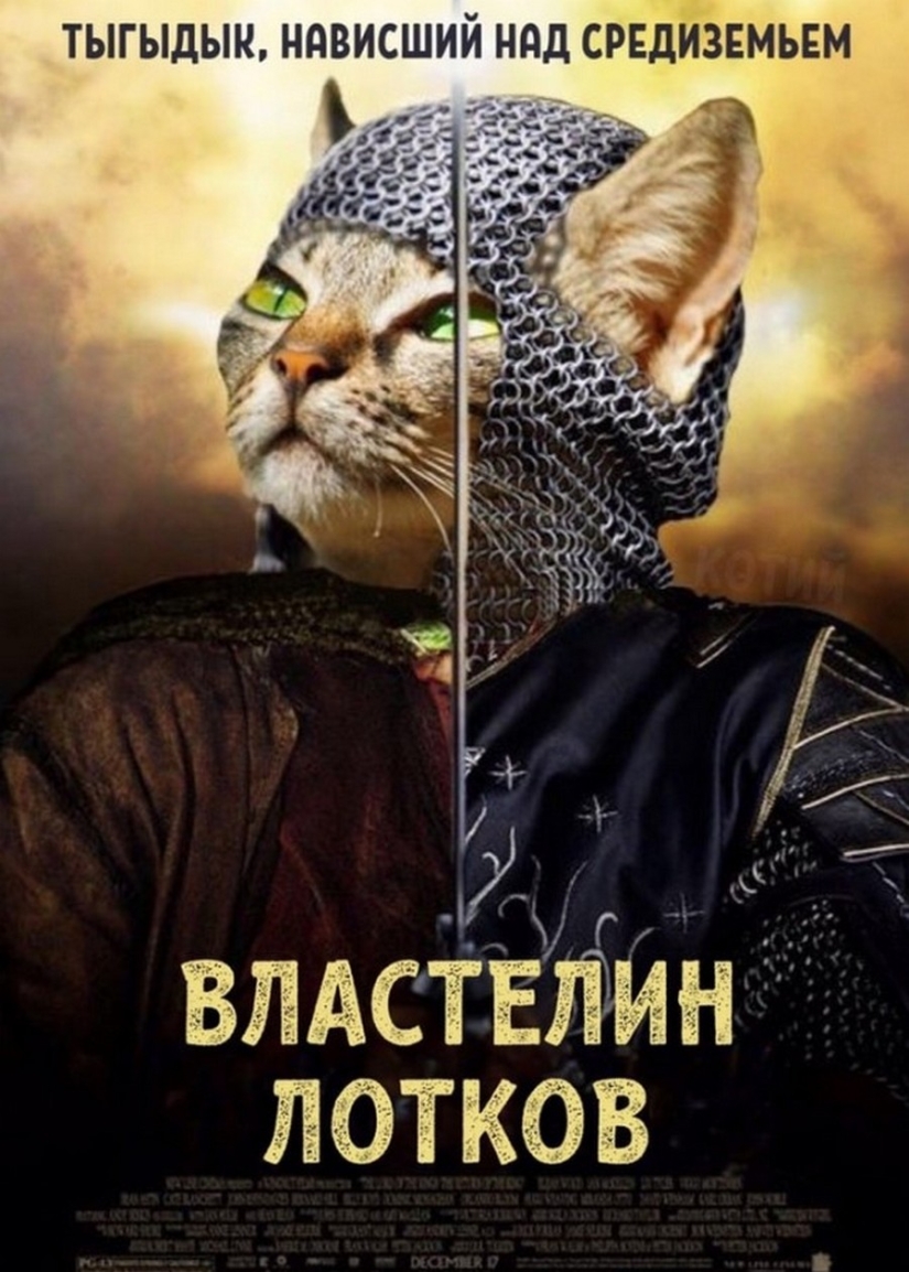 The Lord gets the last of the trays Kus! Posters of box office hits with cats in the lead roles