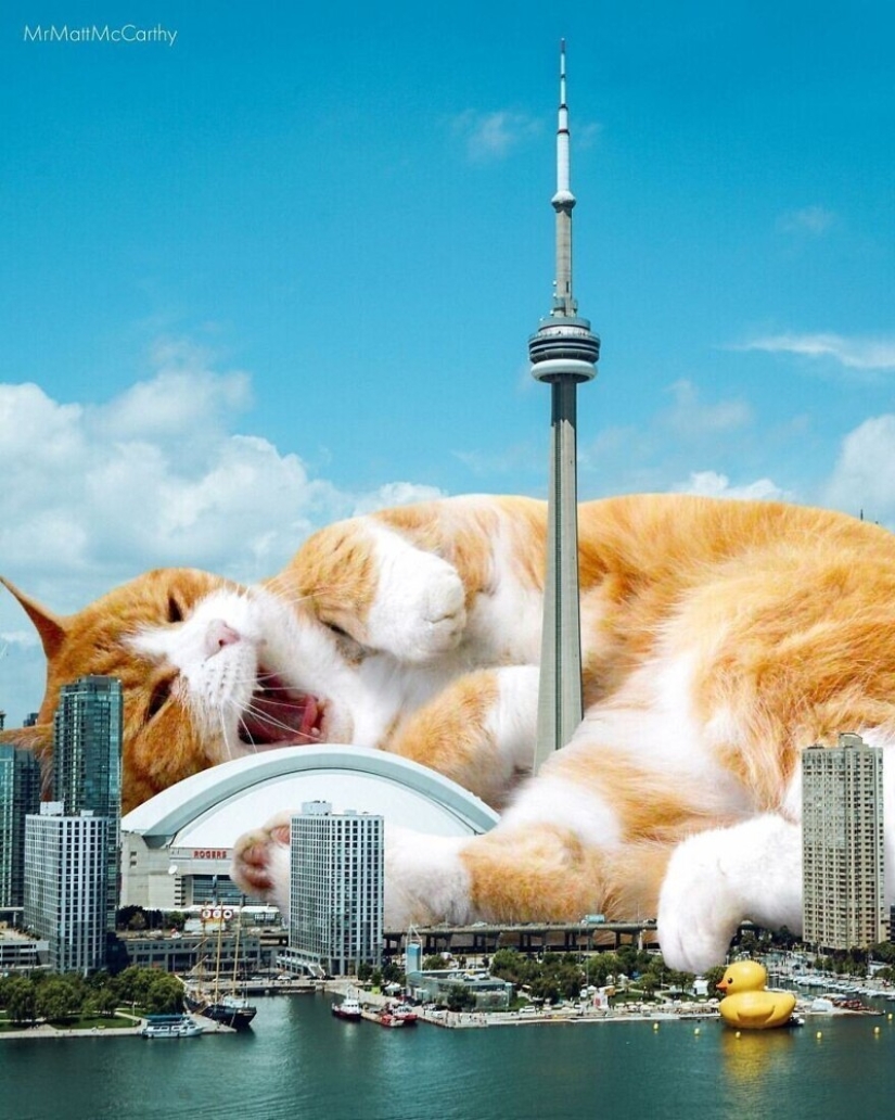 The master of Photoshop has shown what the world will be like if it is captured by cats