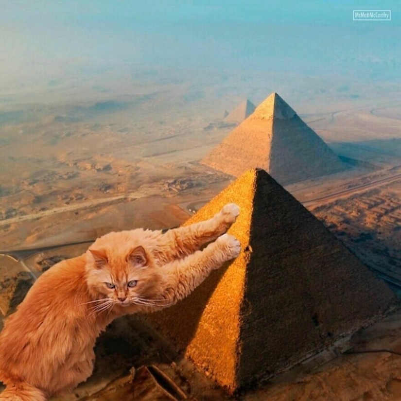 The master of Photoshop has shown what the world will be like if it is captured by cats