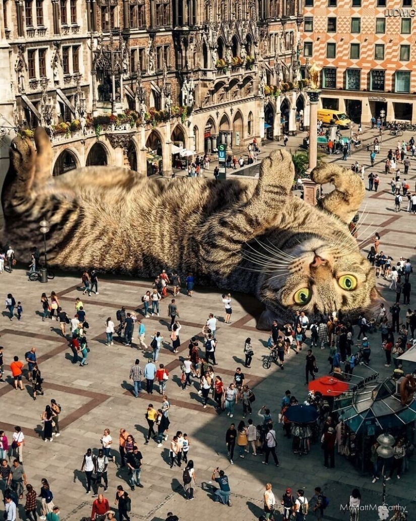 The master of Photoshop has shown what the world will be like if it is captured by cats