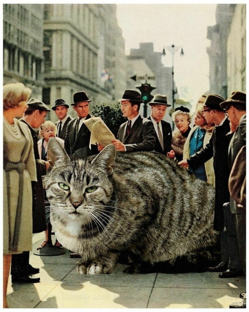 The master of Photoshop has shown what the world will be like if it is captured by cats