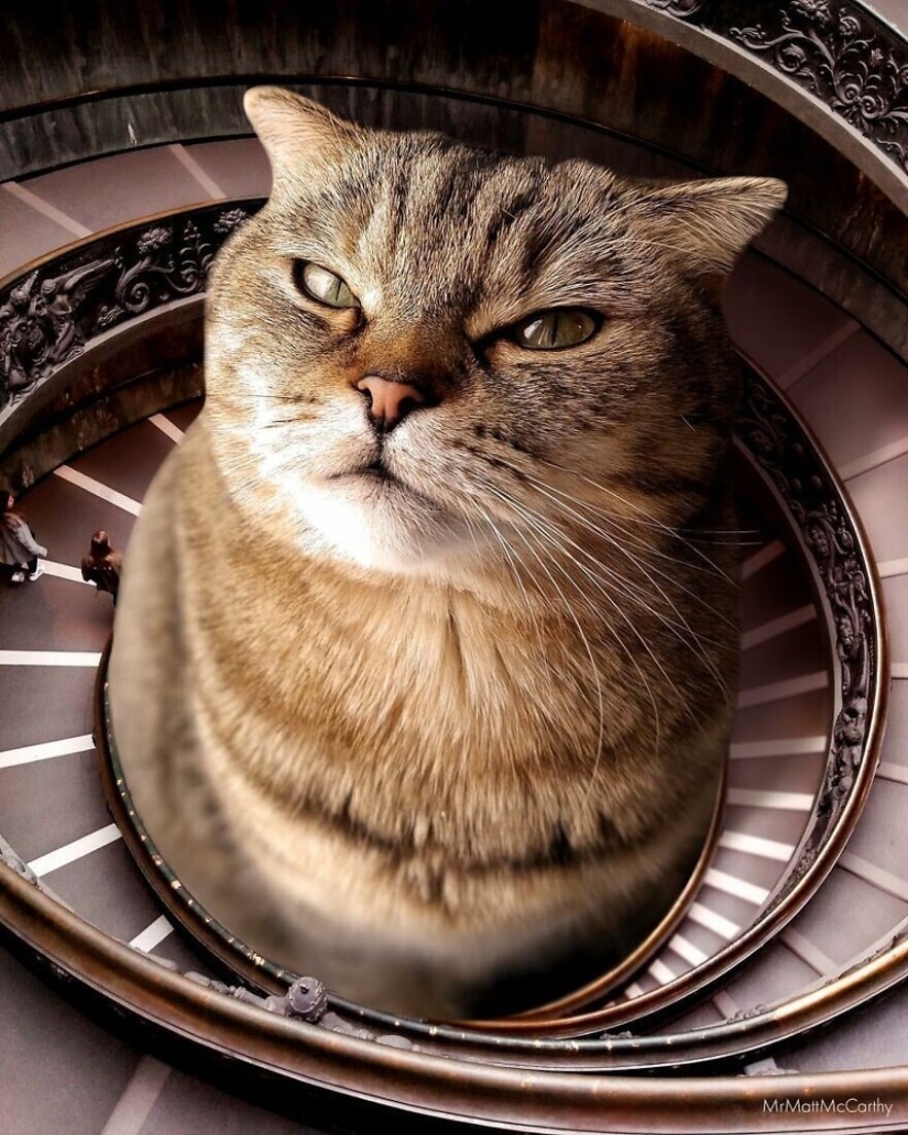 The master of Photoshop has shown what the world will be like if it is captured by cats