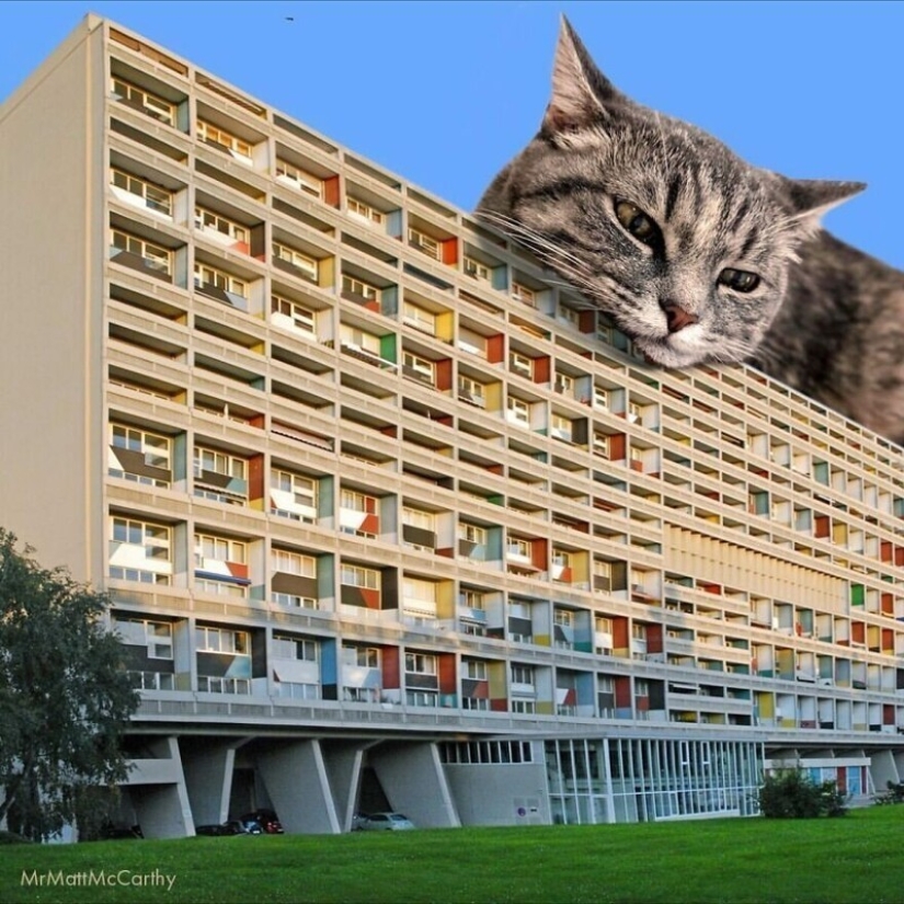 The master of Photoshop has shown what the world will be like if it is captured by cats