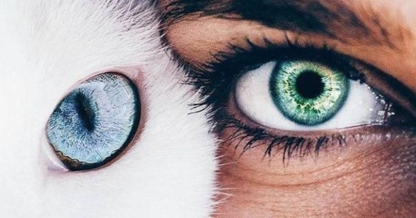 The mirror of the soul: what can you tell us about the human eye