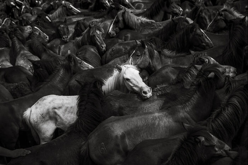 The Monochrome Photography Awards Have Announced The Winners Of 2023