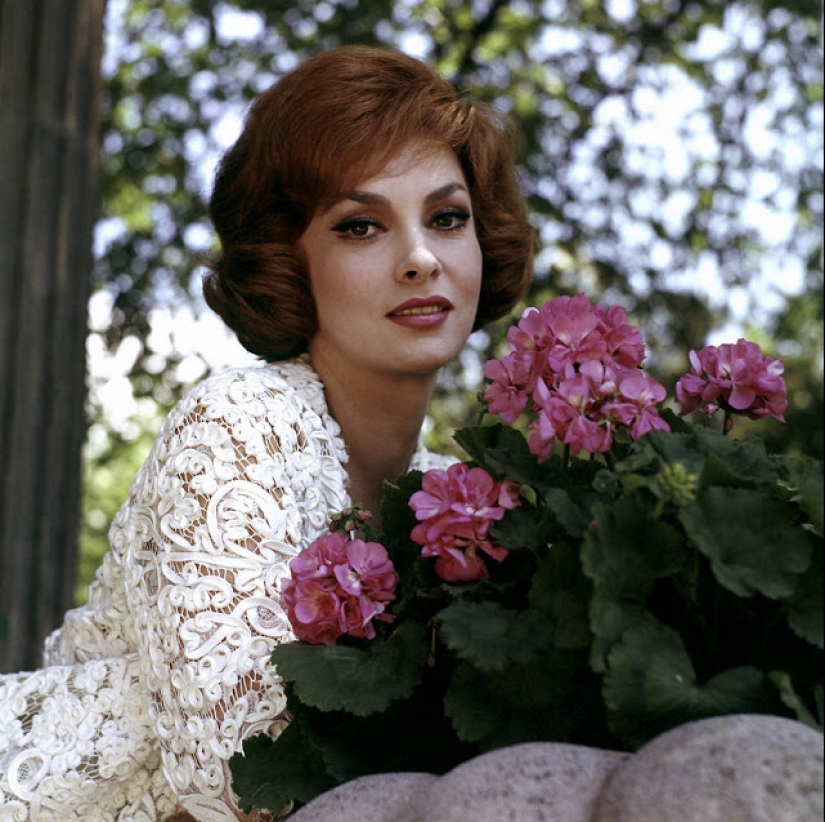 The most beautiful woman of the 1960s, nicknamed the Big Bust — Gina Lollobrigida