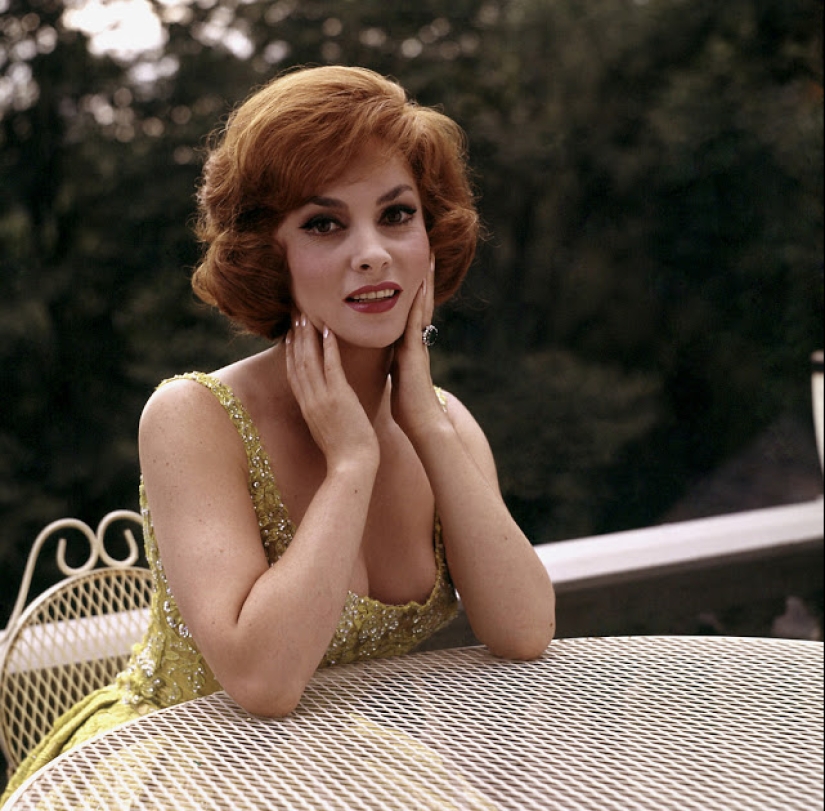 The most beautiful woman of the 1960s, nicknamed the Big Bust — Gina Lollobrigida