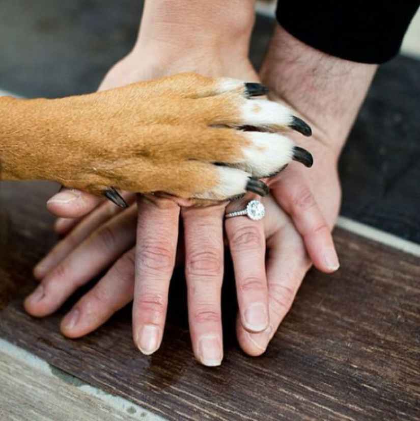 The most creative ideas for engagement photos