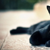 The most popular superstitions and their origin