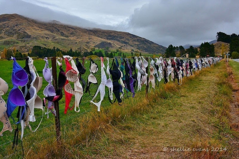 The most unusual fence in the world