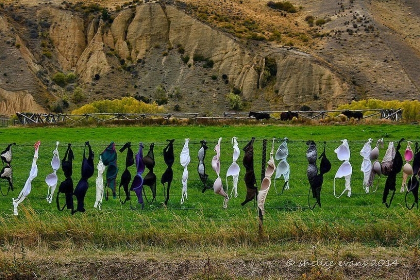 The most unusual fence in the world