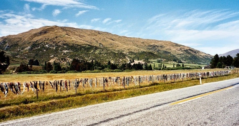 The most unusual fence in the world