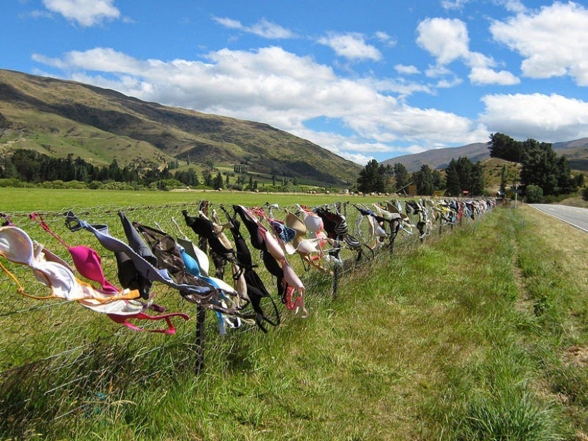 The most unusual fence in the world