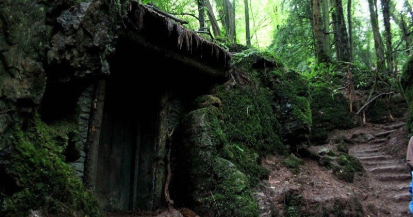 The mysterious Puzzlewood forest, which gave inspiration to Tolkien himself