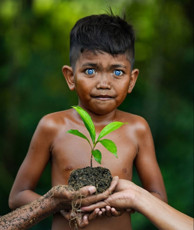 The phenomenon of the blue-eyed tribe of Butung Island