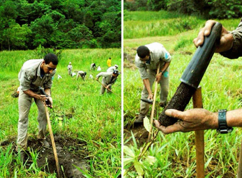 The photographer and his wife for 20 years has planted 2 million trees and regenerated the destroyed forest