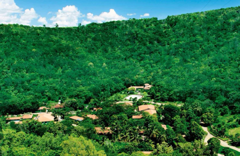 The photographer and his wife for 20 years has planted 2 million trees and regenerated the destroyed forest