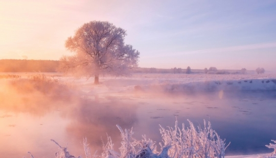 The photographer gets up early in the morning every day to capture the beauty of winter