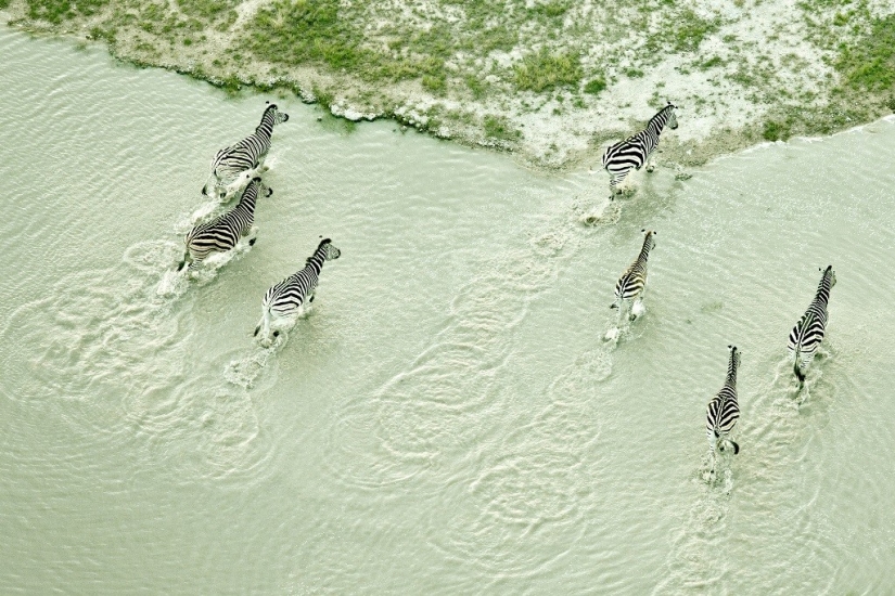 The pristine beauty of Africa in amazing aerial photos