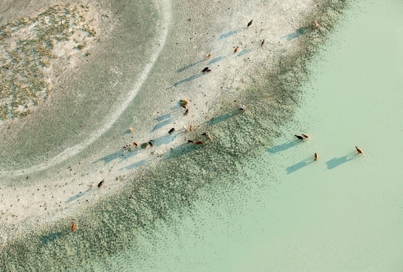 The pristine beauty of Africa in amazing aerial photos