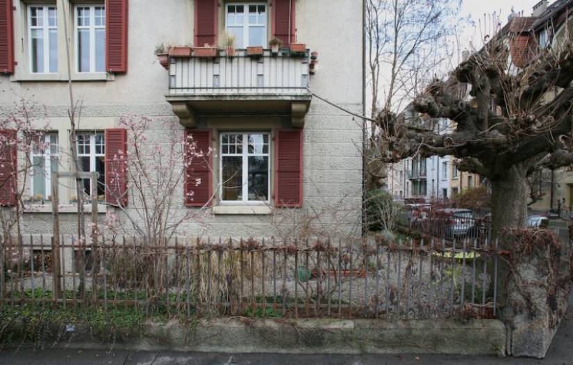 The road to the cat Kingdom: stairs to the furry Pets on the facades of Swiss houses