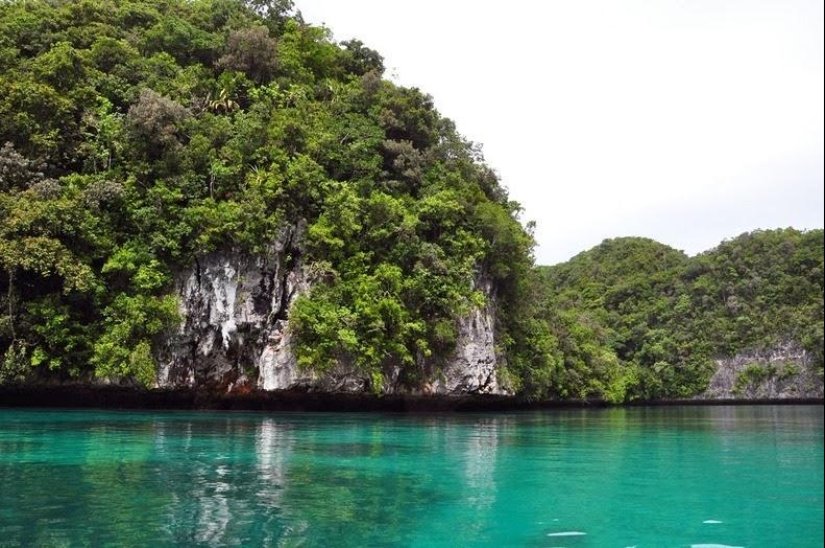 The rocky island of Palau