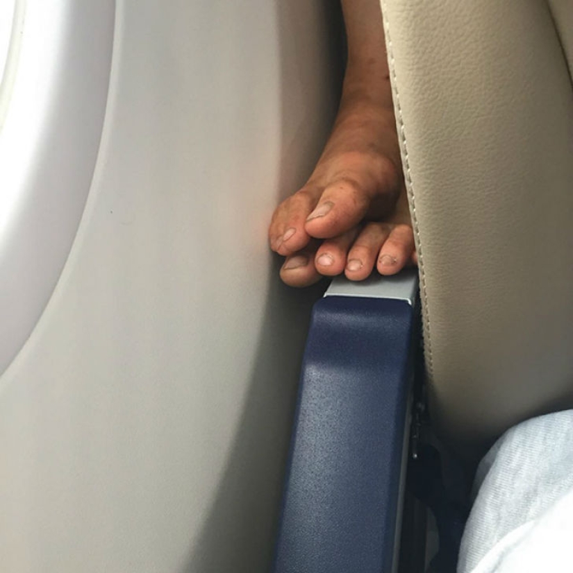 The scariest plane companions you can imagine