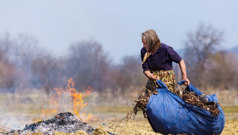 The smoke of the Fatherland: the usual burning of leaves turned out to be more dangerous than smoking