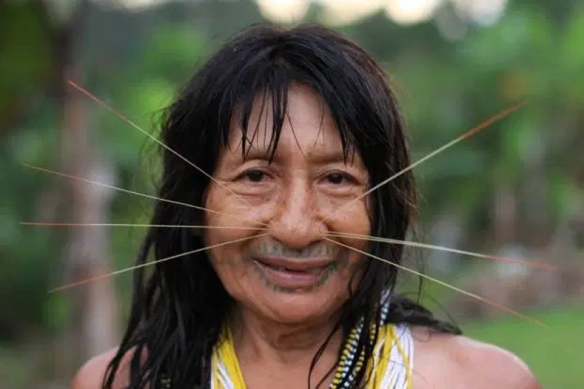 The Spirit of the Amazon: the life of the ancient Matses tribe — "jaguar people"