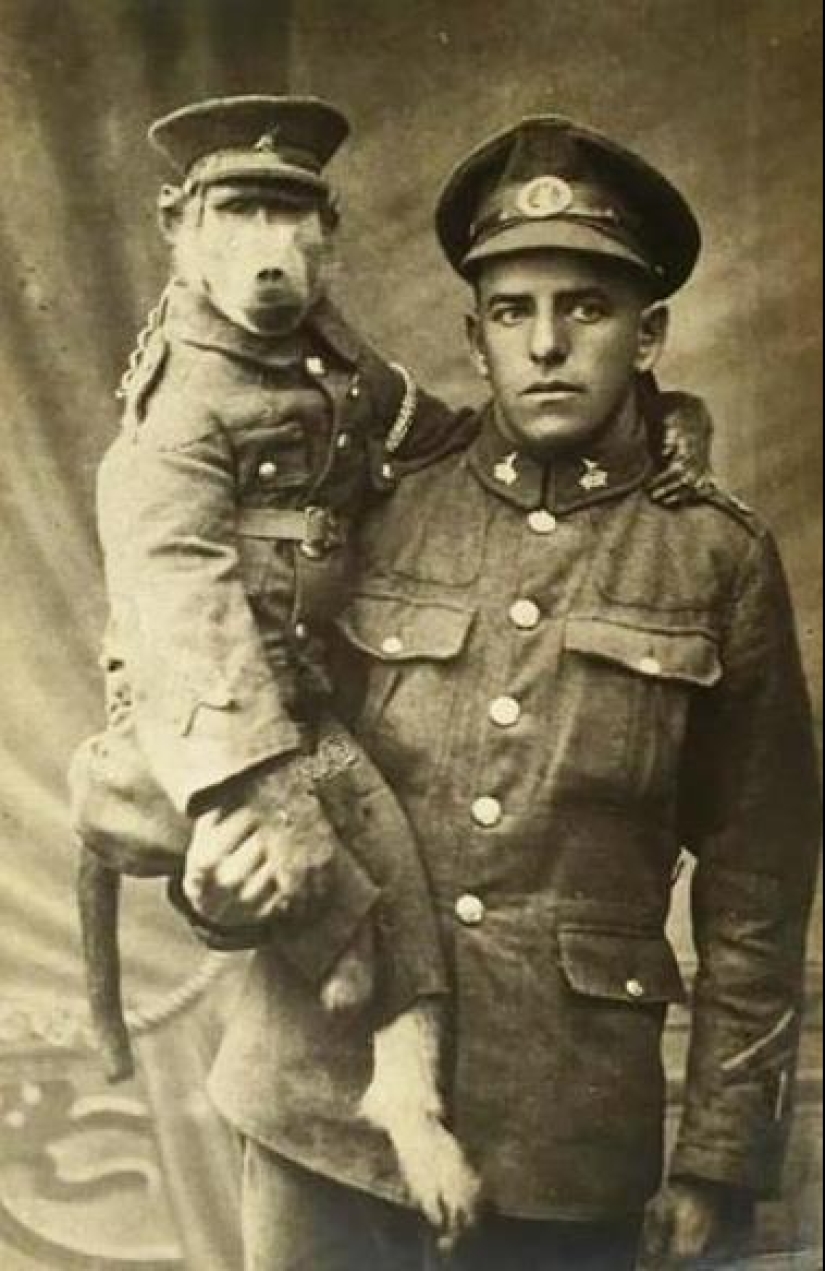 The story of Corporal Jackie — the most unusual hero of the First World War