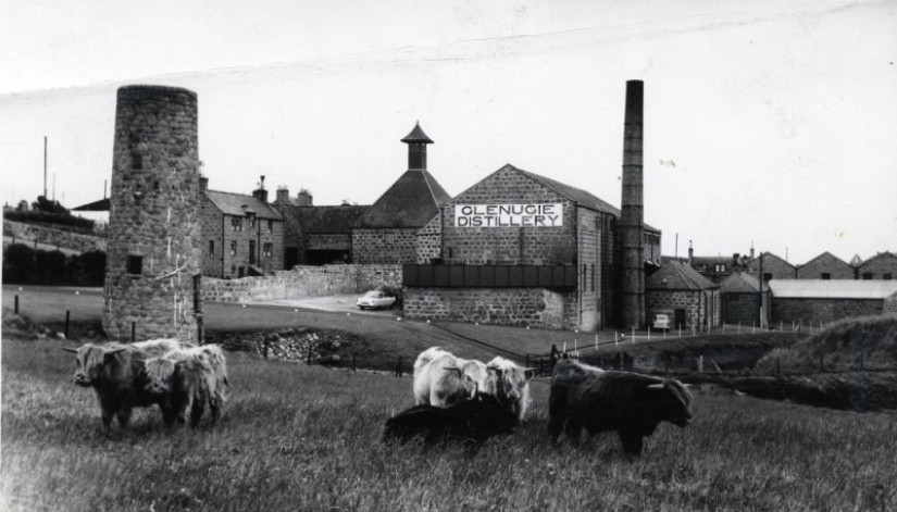 The story of the poisoned milk that killed thousands of American babies